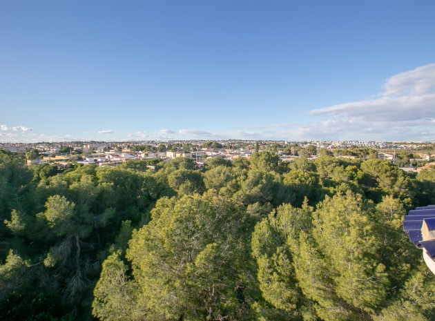 Wederverkoop - Appartement - Cabo Roig - Lomas de Cabo Roig