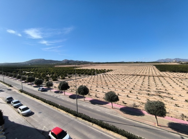 Återförsäljning - Lägenhet - Algorfa - fontana