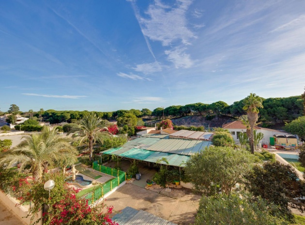 Wiederverkauf - Wohnung - Guardamar del Segura - beachside