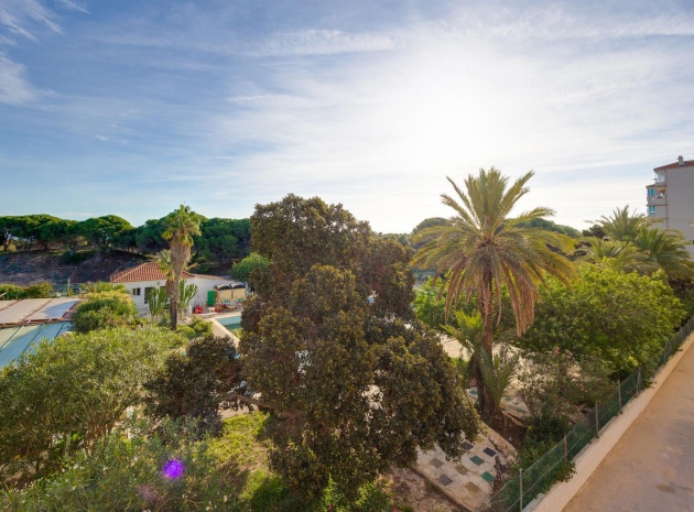 Wiederverkauf - Wohnung - Guardamar del Segura - beachside