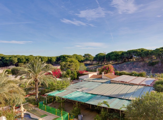 Wiederverkauf - Wohnung - Guardamar del Segura - beachside