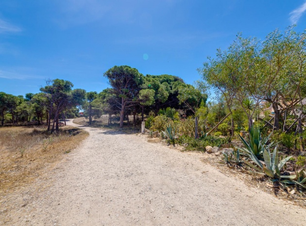 Wiederverkauf - Wohnung - Guardamar del Segura - beachside