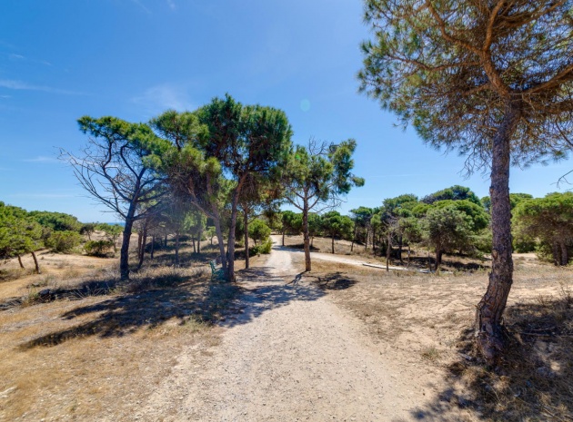 Wiederverkauf - Wohnung - Guardamar del Segura - beachside