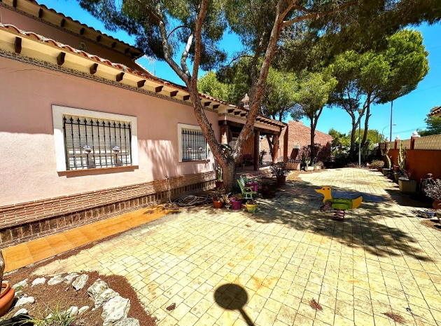 Wederverkoop - Villa - San Miguel de Salinas - las comunicaciones