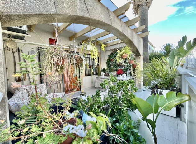 Revente - Bungalow - Punta Prima - serena