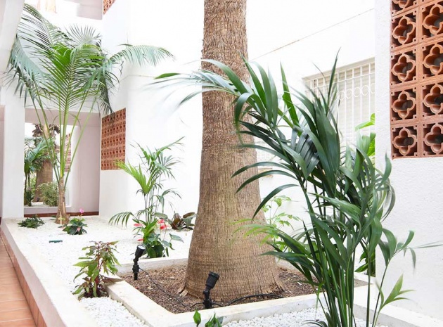 Wederverkoop - Appartement - Villamartin - La Fuente