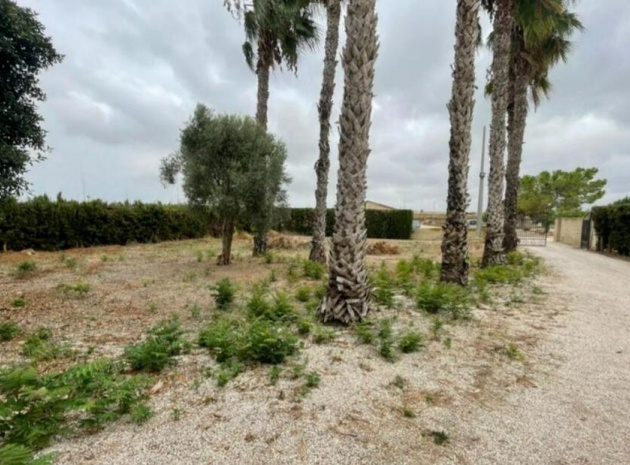 Revente - Villa - Daya Vieja