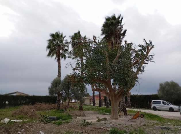 Revente - Villa - Daya Vieja