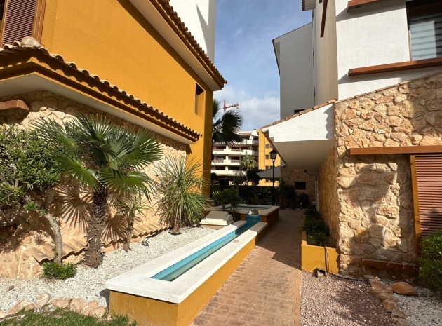 Återförsäljning - Lägenhet - Punta Prima - La Recoleta