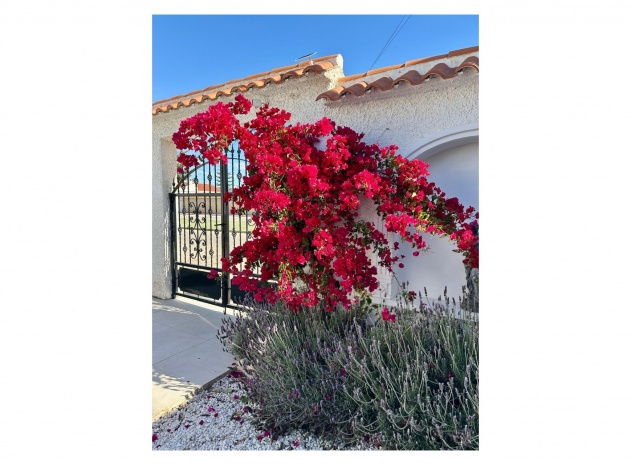 Revente - Villa - Torrevieja - san luis