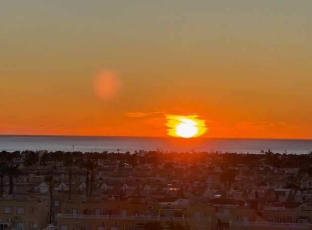 Wiederverkauf - Wohnung - Cabo Roig - Lomas de Cabo Roig