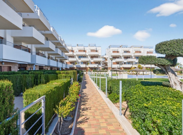 Wiederverkauf - Wohnung - Cabo Roig - Lomas de Cabo Roig