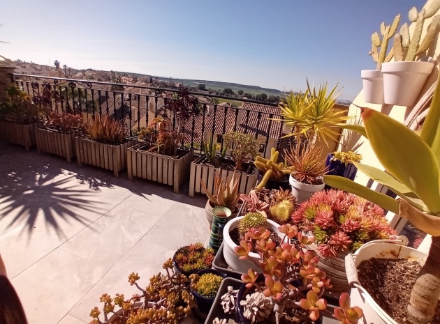 Revente - Maison de ville - Algorfa - La Finca Golf