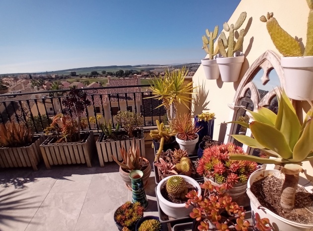 Revente - Maison de ville - Algorfa - La Finca Golf