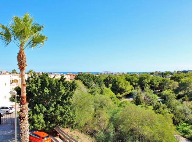 Resale - Villa - Playa Flamenca - san jose