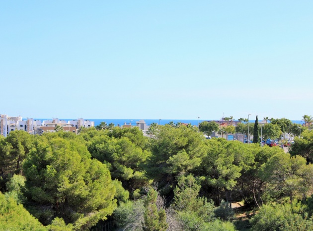 Resale - Villa - Playa Flamenca - san jose