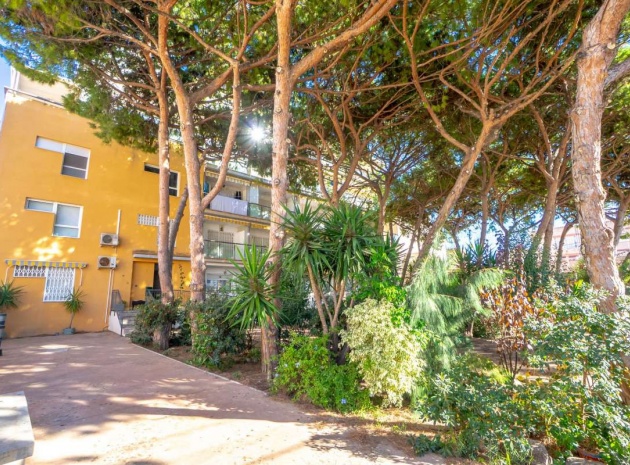 Revente - Appartement - San Pedro del Pinatar - Lo Pagan