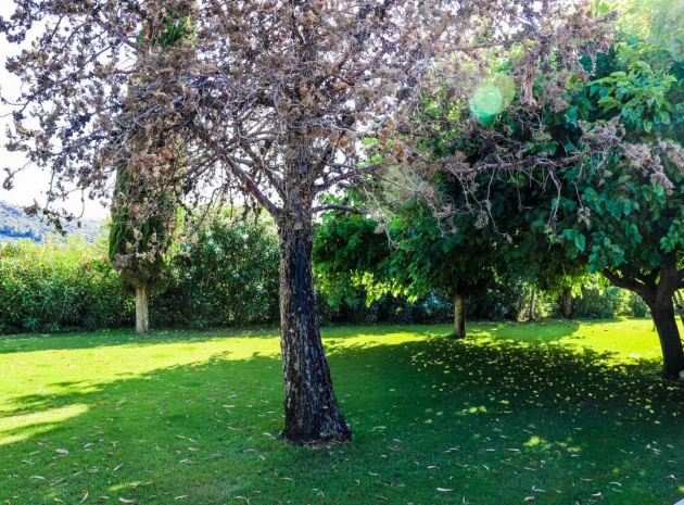 Nybyggnad - Villa - Denia - Jesús Pobre