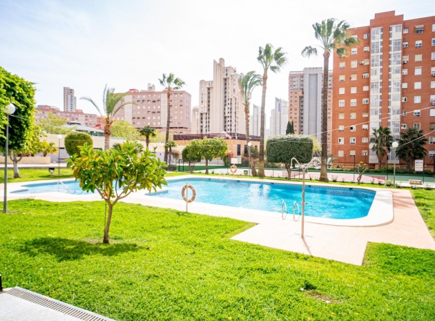 Wederverkoop - Appartement - Benidorm - Benidorm Centro