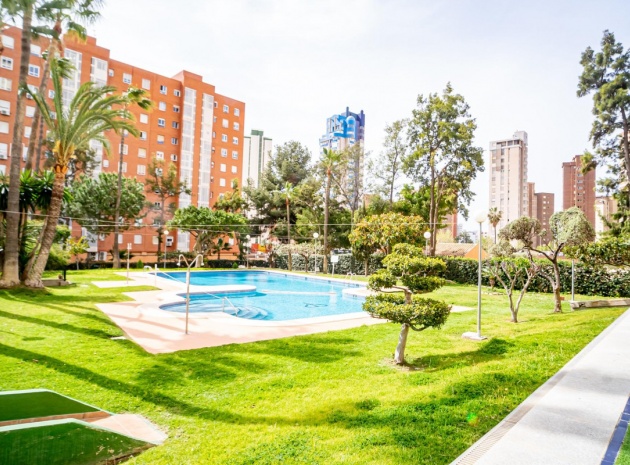 Wederverkoop - Appartement - Benidorm - Benidorm Centro