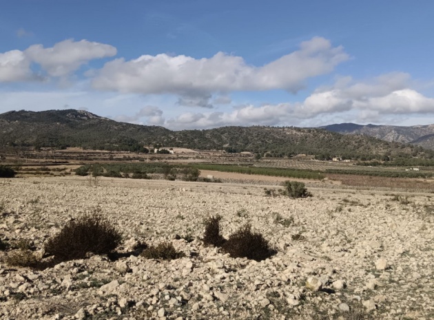 Återförsäljning - Landa - Salinas - Salinas Centro