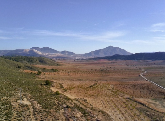 Wiederverkauf - Land - Jumilla - Cañada del Trigo
