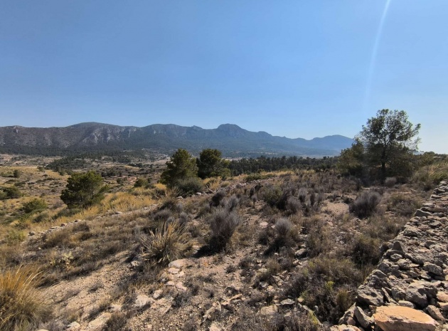 Revente - Terre - La Romana - La Romana Centro