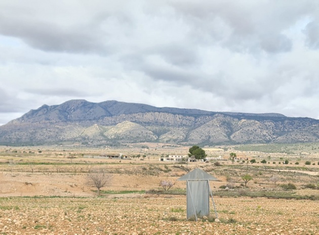 Återförsäljning - Landa - Jumilla - Torre del Rico