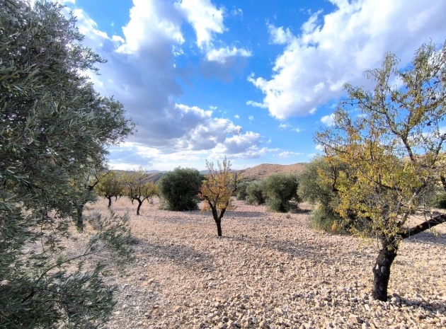 Wiederverkauf - Land - Yecla - Yecla Centro