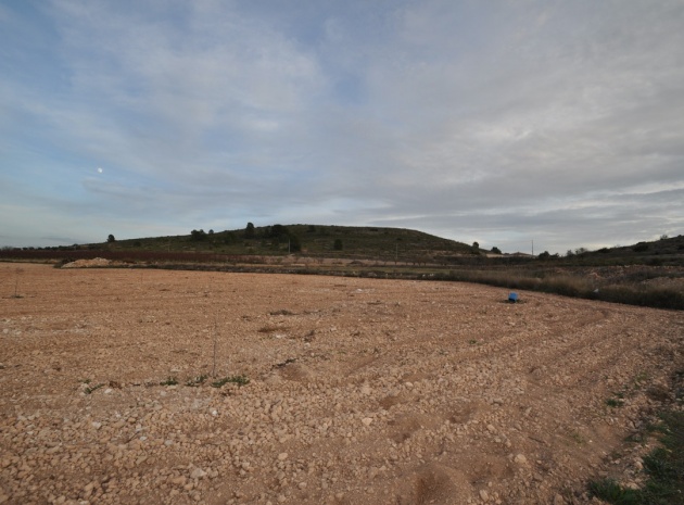 Revente - Terre - Jumilla - Cañada del Trigo