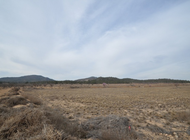 Wiederverkauf - Land - Monóvar - Monòver - Monóvar - Monòver Centro