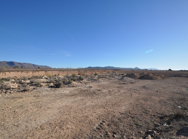 Resale - Land - Pinoso - Pinoso Centro