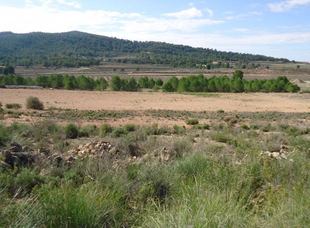 Revente - Terre - Monóvar - Monòver - Monóvar - Monòver Centro