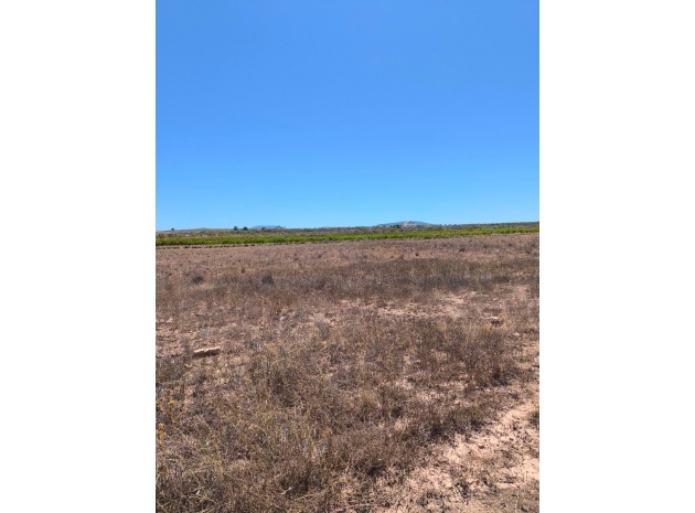 Wederverkoop - Land - Pinoso - Lel