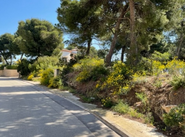 Wiederverkauf - Land - Jávea - Xàbia - Jávea - Xàbia Centro