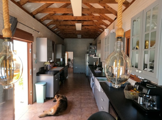 Revente - Villa - Jacarilla