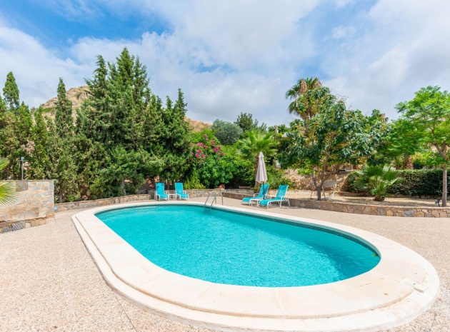 Revente - Commercial - San Vicente del Raspeig - San Vicente del Raspeig Centro