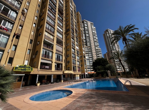 Wederverkoop - Appartement - Benidorm - Benidorm Centro