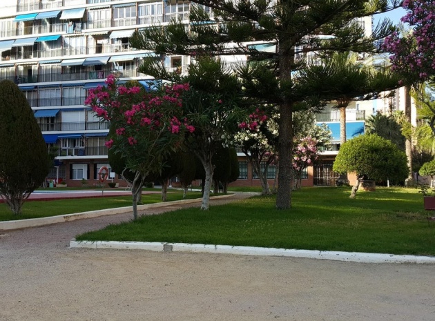 Wiederverkauf - Wohnung - Finestrat