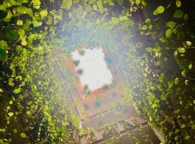 Wiederverkauf - Wohnung - Torrevieja - Torrevieja Centro