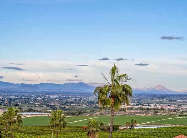 Wiederverkauf - Villa - Algorfa - Lomas De La Juliana