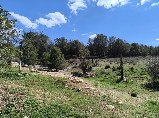 Wiederverkauf - Country Property - Villena - Villena Centro