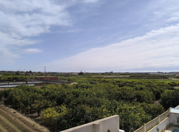 Wiederverkauf - Villa - Guardamar del Segura - Urbanización El Raso