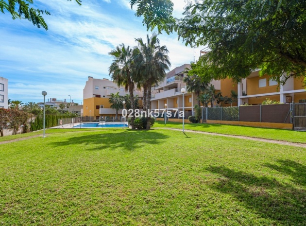 Wiederverkauf - Wohnung - Playa Flamenca - Play Flamenca