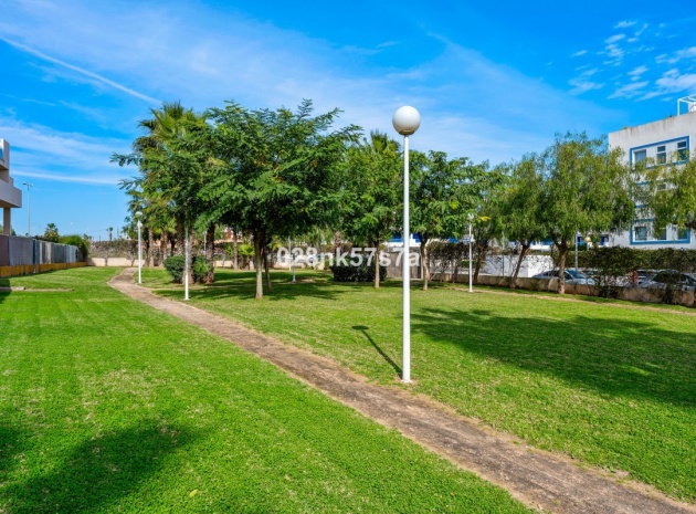 Wiederverkauf - Wohnung - Playa Flamenca - Play Flamenca