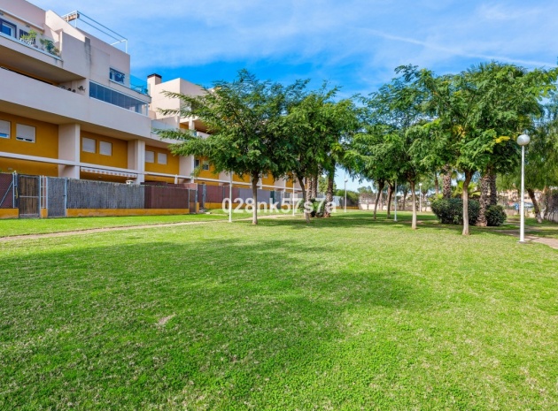 Wiederverkauf - Wohnung - Playa Flamenca - Play Flamenca