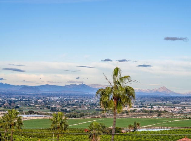 Resale - Villa - Algorfa - Algorfa Centro