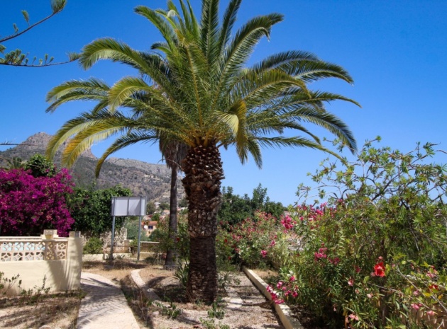 Resale - Villa - Calpe - Calpe Centro