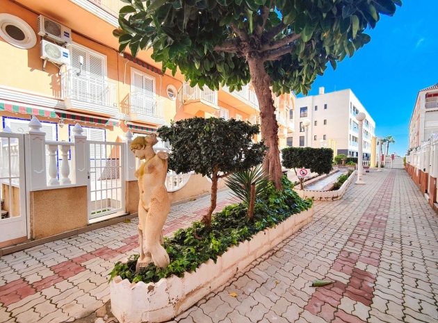 Återförsäljning - Lägenhet - Torrevieja - La Mata