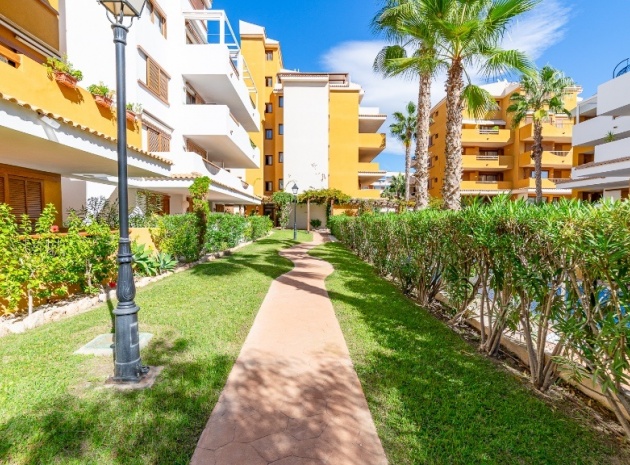 Resale - Apartment - Punta Prima - la entrada